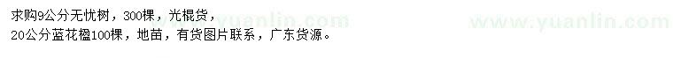 求購(gòu)9公分無(wú)憂(yōu)樹(shù)、20公分藍(lán)花楹