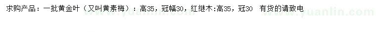 求購高35公分黃素梅、紅繼木