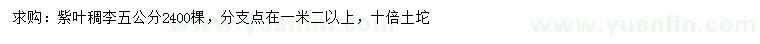求購5公分紫葉稠李