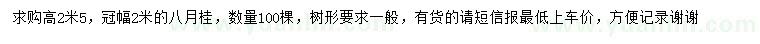 求購高2.5米八月桂