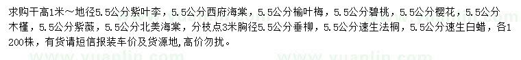 求購紫葉李、西府海棠、榆葉梅等