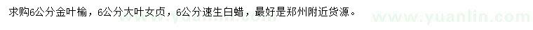 求購金葉榆、大葉女貞、速生白蠟