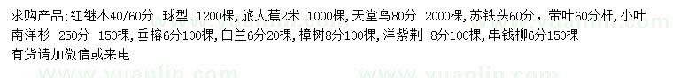 求購(gòu)紅繼木、旅人蕉、天堂鳥(niǎo)等