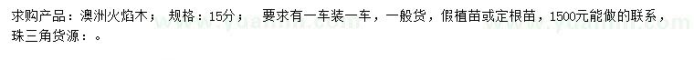 求購15公分澳洲火焰木