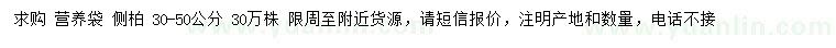 求購30-50公分側柏