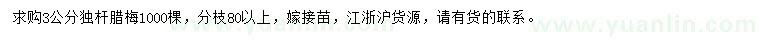 求購3公分獨桿臘梅