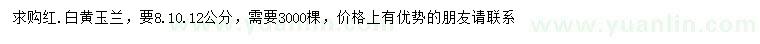 求購(gòu)8、10、12公分紅、白、黃玉蘭