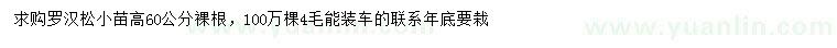 求購(gòu)高60公分羅漢松