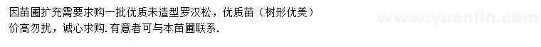 求購(gòu)12-15公分羅漢松