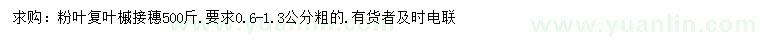 求購(gòu)粉葉復(fù)葉槭接穗