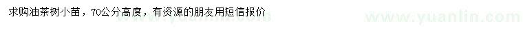 求購高70公分油茶樹