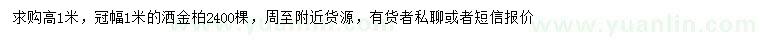 求購(gòu)高1米灑金柏