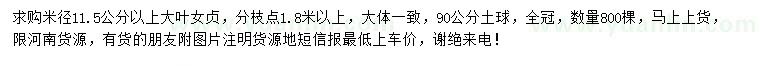 求購(gòu)米徑11.5公分以上大葉女貞
