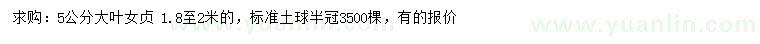 求購5公分大葉女貞