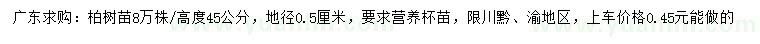 求購高45公分柏樹