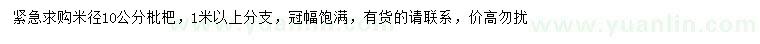 求購(gòu)米徑10公分枇杷