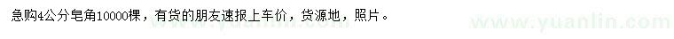 求購4公分皂角
