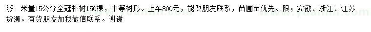 求購1米量15公分全冠樸樹