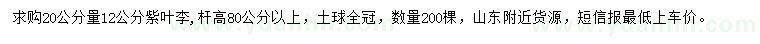 求購(gòu)20公分量12公分紫葉李