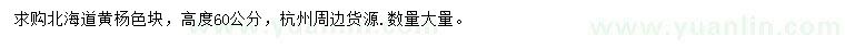 求購高60公分北海道黃楊
