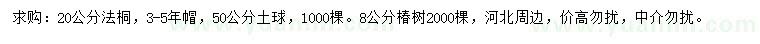 求購20公分法桐、8公分椿樹