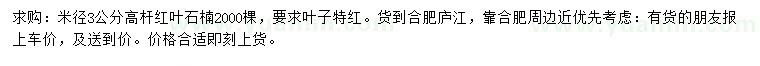求購米徑3公分紅葉石楠