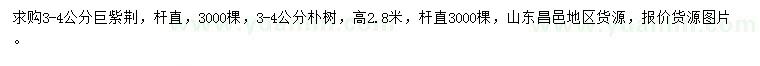 求購(gòu)3-4公分巨紫荊、樸樹