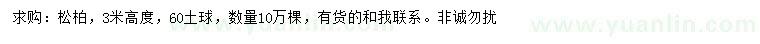 求購高3米松柏