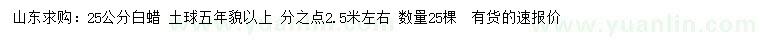 求購25公分白蠟