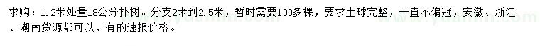 求購1.2米量18公分樸樹