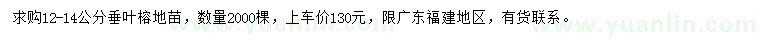 求購12-14公分垂葉榕
