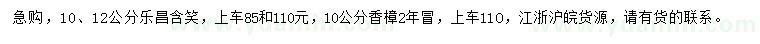 求購(gòu)10、12公分樂昌含笑、10公分香樟