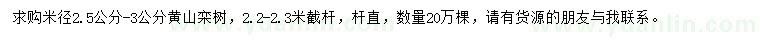 求購米徑2.5-3公分黃山欒樹