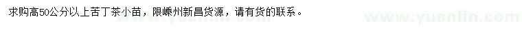 求購高50公分以上苦丁茶小苗