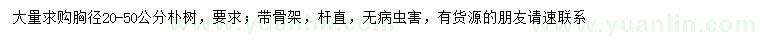 求購胸徑20-50公分樸樹