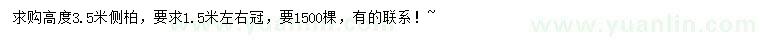 求購(gòu)高3.5米側(cè)柏