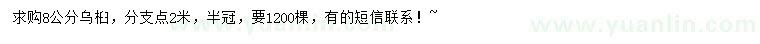 求購8公分烏桕