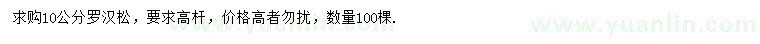 求購10公分羅漢松