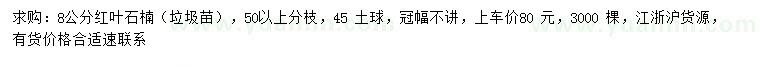 求購8公分紅葉石楠
