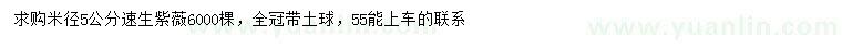 求購米徑5公分速生紫薇