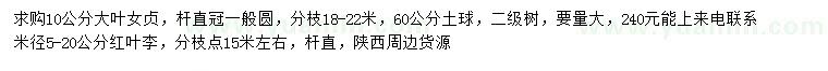 求購10公分大葉女貞、米徑5-20公分紅葉李