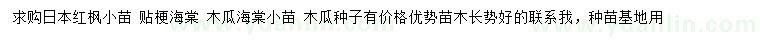 求購日本紅楓、貼梗海棠、木瓜海棠等