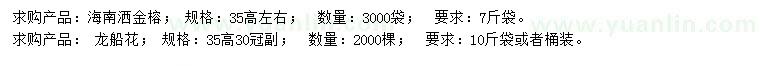 求購高35公分海南灑金榕、龍船花