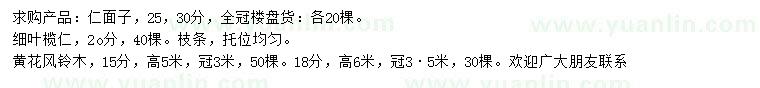 求購(gòu)仁面子、細(xì)葉欖仁、黃花風(fēng)鈴木