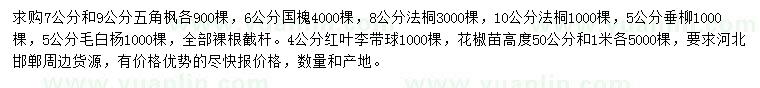 求購五角楓、國槐、法桐等