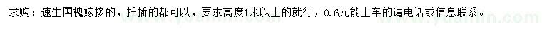 求購高1米以上速生國槐