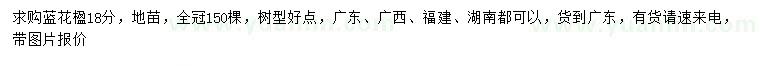 求購18公分藍花楹