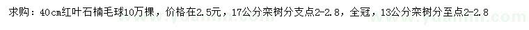 求購40公分紅葉石楠毛球、13、17公分欒樹