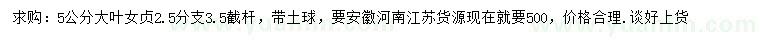 求購5公分大葉女貞