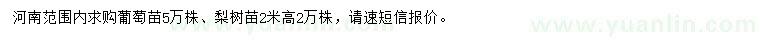 求購葡萄苗、高2米梨樹苗